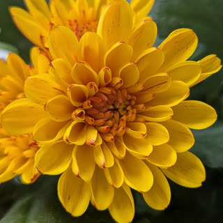 Bloom cover photo by Maarja Kaasik