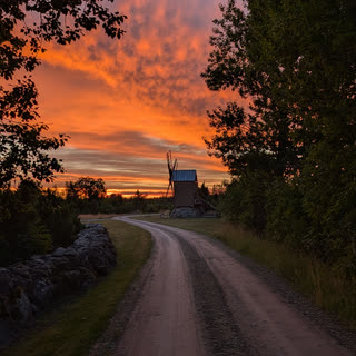 Homecoming cover photo by Maarja Kaasik