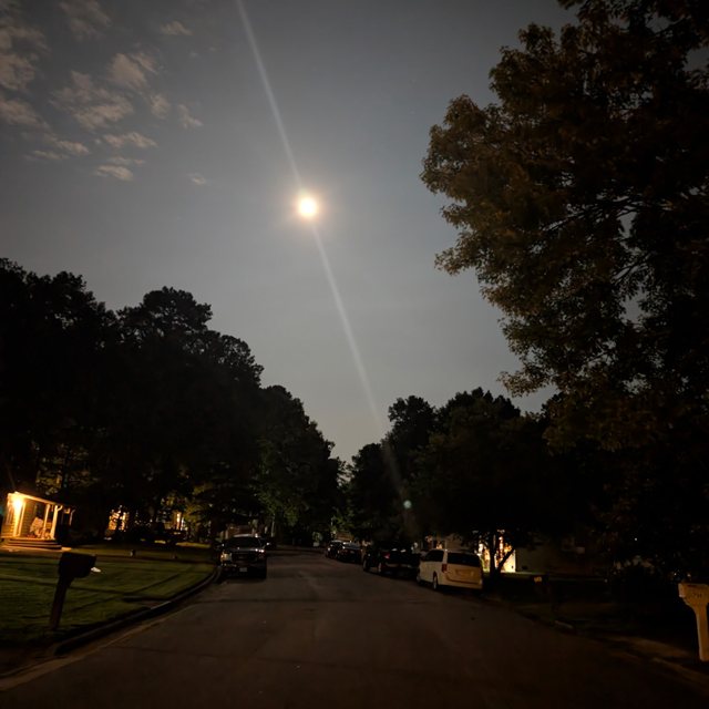 Moonlit Reverie cover: a full moon over a quiet tree-lined street at night